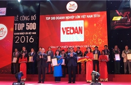 Vedan Việt Nam lần thứ 5 liên tiếp lọt vào Top VNR500